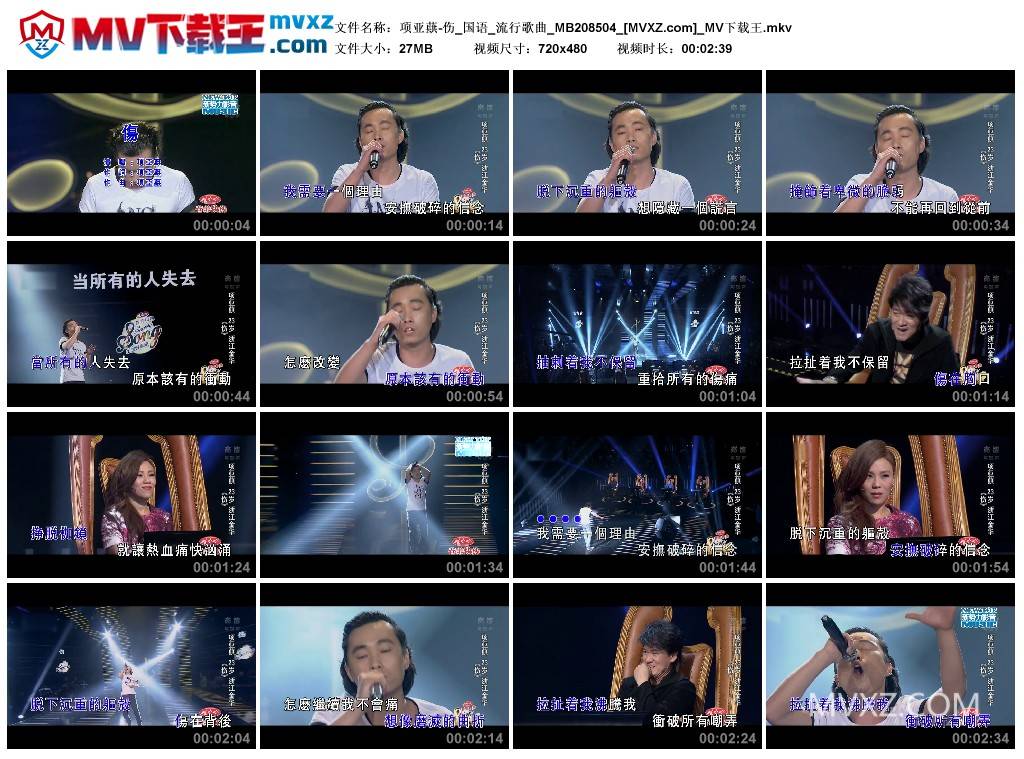 项亚蕻-伤_国语_流行歌曲_MB208504